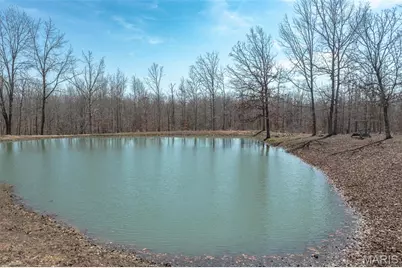 2101 Madison 9236, Fredericktown, MO 63645 - Photo 34