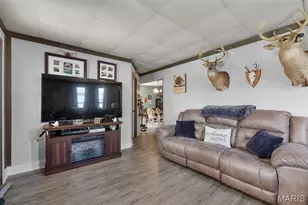 323 Wright Ave, Chaffee, MO 63740 - Photo 8