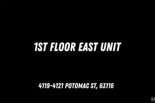 4119-4121 Potomac St, Saint Louis, MO 63116 - Photo 40