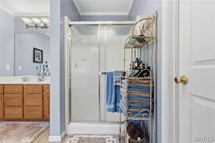 9727 Round Table Ct, Hillsboro, MO 63050 - Photo 42