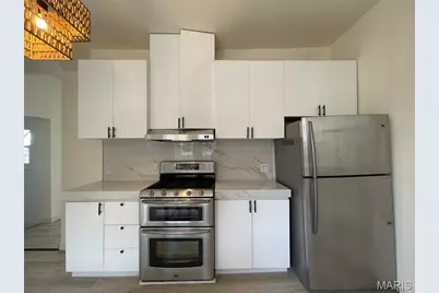 7349 Elm Avenue, Saint Louis, MO 63143 - Photo 22