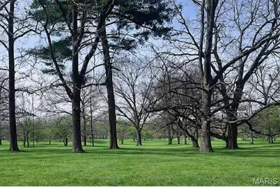 6100 Carlsbad Avenue, Saint Louis, MO 63116 - Photo 4