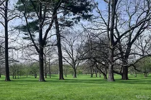 6100 Carlsbad Ave, Saint Louis, MO 63116 - Photo 4