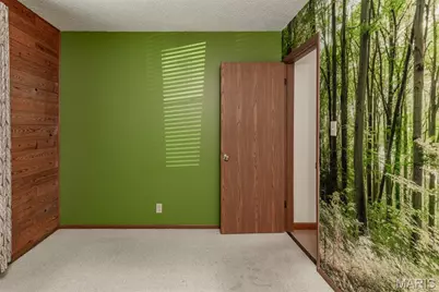 14729 Southlake Drive, De Soto, MO 63020 - Photo 30