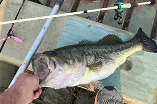 14729 Southlake Dr, De Soto, MO 63020 - Photo 74