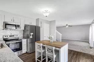 111 Downing St, House Springs, MO 63051 - Photo 16