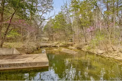 0 N Lafitte Drive, Bonne Terre, MO 63628 - Photo 12