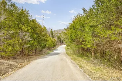 0 N Lafitte Drive, Bonne Terre, MO 63628 - Photo 2