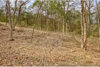 0 N Lafitte Drive, Bonne Terre, MO 63628 - Photo 6