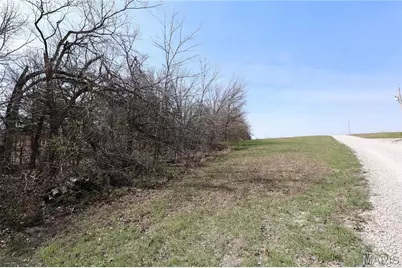 Lot 6 Dreamz Estate Drive, Perryville, MO 63775 - Photo 12