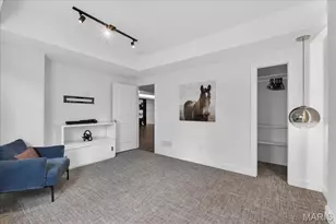 718 Woods of Ladue Ln, Saint Louis, MO 63124 - Photo 54