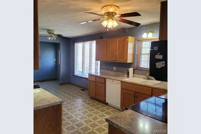 3980 Wilkinson Road, De Soto, MO 63020 - Photo 4