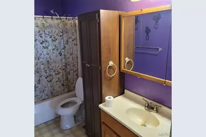 3980 Wilkinson Road, De Soto, MO 63020 - Photo 8