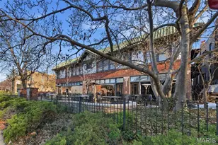 3940 Shaw Blvd, Saint Louis, MO 63110 - Photo 42