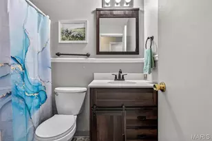 466 Rue Martel, Bonne Terre, MO 63628 - Photo 20