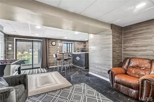 466 Rue Martel, Bonne Terre, MO 63628 - Photo 26