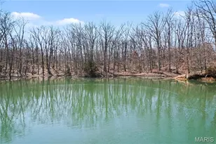 20 Dumont Ct, Foristell, MO 63348 - Photo 18