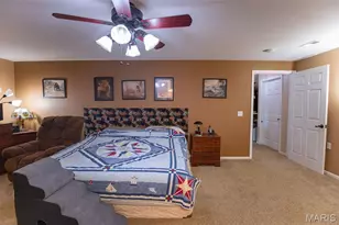 24701 Co Rd 434, St James, MO 65559 - Photo 50