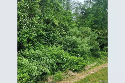16342 Clayton Road, Wildwood, MO 63011 - Photo 2