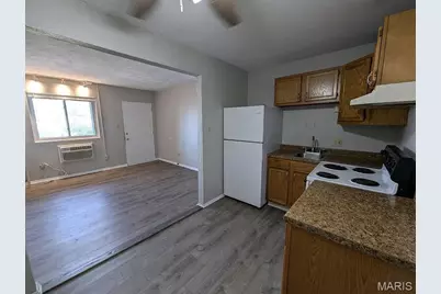 3704 Greenwood Boulevard, Maplewood, MO 63143 - Photo 10