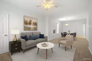 3850 De Tonty St, Saint Louis, MO 63110 - Photo 10