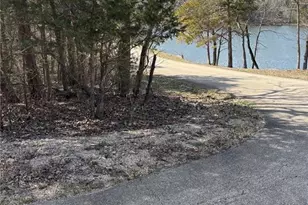 0 Rue Angeline, Bonne Terre, MO 63648 - Photo 1