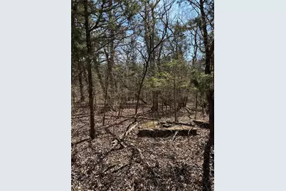 0 Rue Angeline, Bonne Terre, MO 63648 - Photo 4