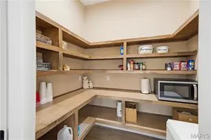 835 Monday Ln, Williamsville, MO 63967 - Photo 68