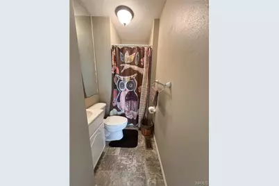 1240 47 Highway, Bonne Terre, MO 63628 - Photo 10