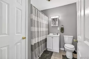 823 Delmar Ave, Festus, MO 63028 - Photo 18