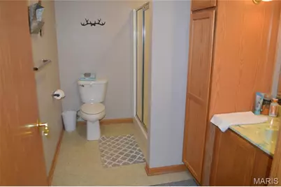 222 Scanland Farm Road, Montgomery City, MO 63361 - Photo 28