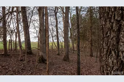 000 Flucom Road E, De Soto, MO 63020 - Photo 34