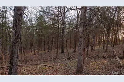 000 Flucom Road E, De Soto, MO 63020 - Photo 22