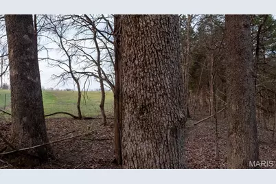 000 Flucom Road E, De Soto, MO 63020 - Photo 36