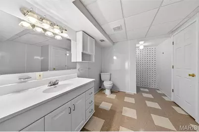 16734 Heather Moor Drive, Florissant, MO 63034 - Photo 48