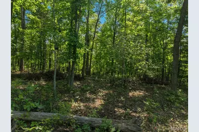 2545 Alpine Woods Drive, Innsbrook, MO 63390 - Photo 8