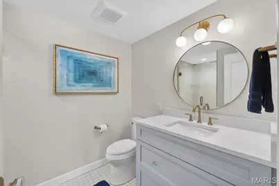 10 Vouga Lane, Saint Louis, MO 63131 - Photo 20