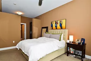 9 N Euclid Ave, Saint Louis, MO 63108 - Photo 6