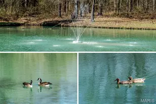 521 Charles Henry Ln, Beaufort, MO 63013 - Photo 26