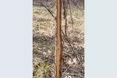 000 Grob Road, Gerald, MO 63037 - Photo 20