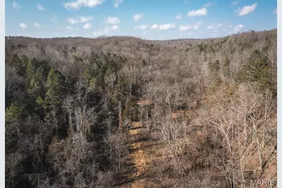 0000 County Road 404, Tract 2, Washington, MO 63638 - Photo 2