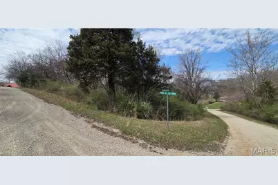 0 Rue De La Paix, Bonne Terre, MO 63628 - Photo 1