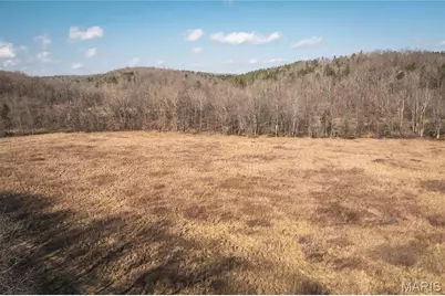 000 County Road 404, Tract 3, Washington, MO 63638 - Photo 2