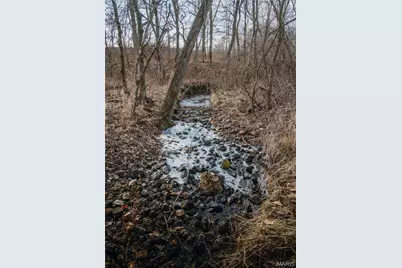 000 County Road 404, Tract 3, Washington, MO 63638 - Photo 34
