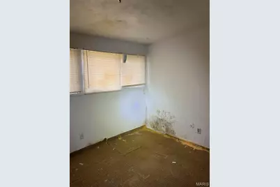 8443 Red Fir Drive, Saint Louis, MO 63134 - Photo 16