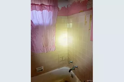 8443 Red Fir Drive, Saint Louis, MO 63134 - Photo 22