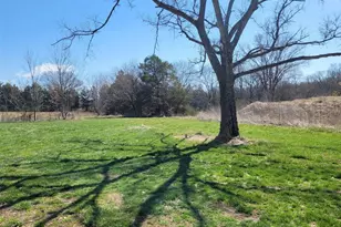 7798 Hwy Ff Hwy, Grubville, MO 63041 - Photo 10