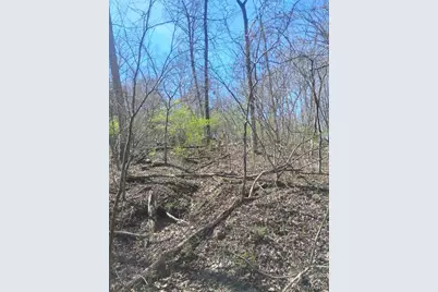 0 E Sunrise Lakes Drive, De Soto, MO 63020 - Photo 10