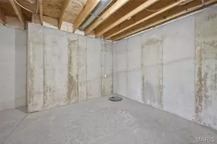 226 Autumn Hallow Ct, Old Monroe, MO 63369 - Photo 44