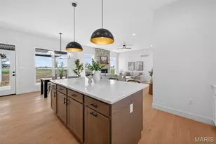 226 Autumn Hallow Ct, Old Monroe, MO 63369 - Photo 20